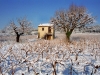 cabanon provencal enneige au milieu des vignes
