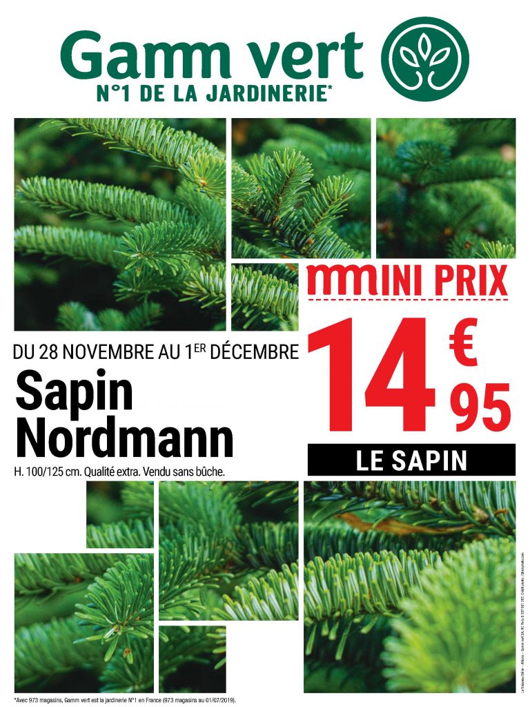 SAPINS DE NOEL - Copal Gamm Vert